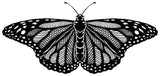 Monarch Open Wings - ArtFoamie